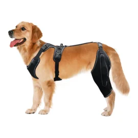 Custom Dog Knee Brace Support for Back Legs with Metal Splint Hinge