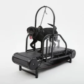 Dog Treadmill for Medium and Large Dogs