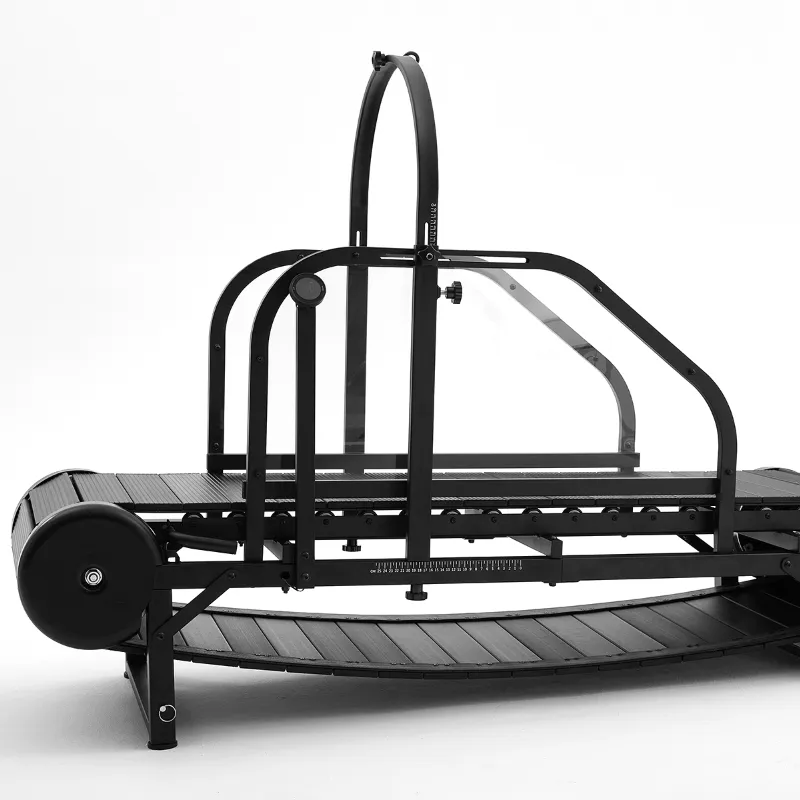 dog_running_machine_canine_treadmill_for_large_dog_indoor_1AA17B67F8110