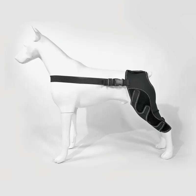 quick_release_velcro_design_dog_hind_leg_arthritis_brace_single_leg_1AA2CA2C1EF17