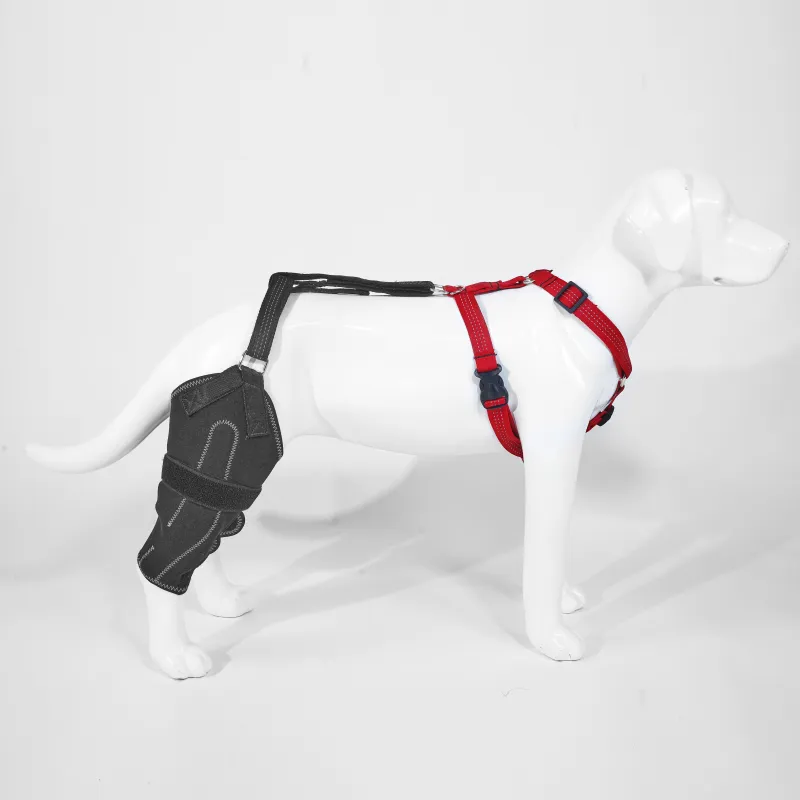 red_canine_dog_hip_dysplasia_brace_support_for_large_dogs_1A1A4B5F15B1D