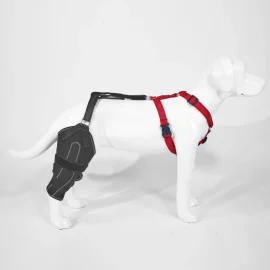 Dog Knee Brace for Torn Acl Leg