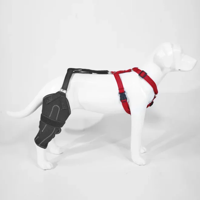 dog knee support brace