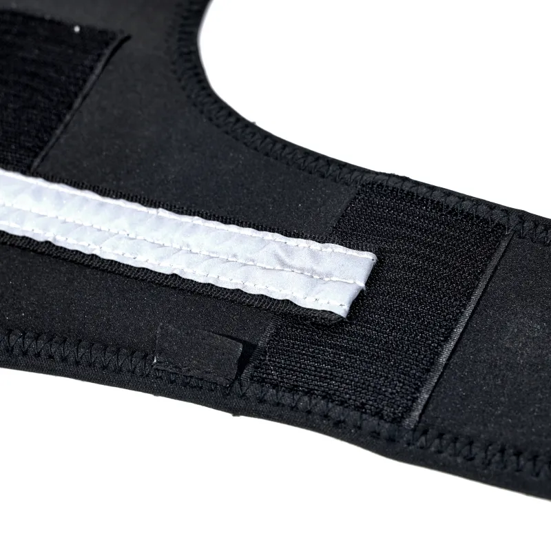 reflective_and_supportive_strips_dog_front_leg_arthritis_brace_blue_1AA174F02781F